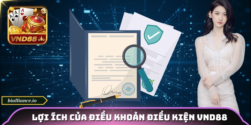 Lợi ích của điều khoản điều kiện VND88