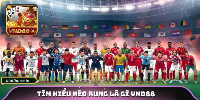 Tìm hiểu kèo rung là gì VND88