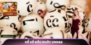 xổ số đầu đuôi vnd88